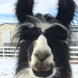 Meet your Posher, Catherine